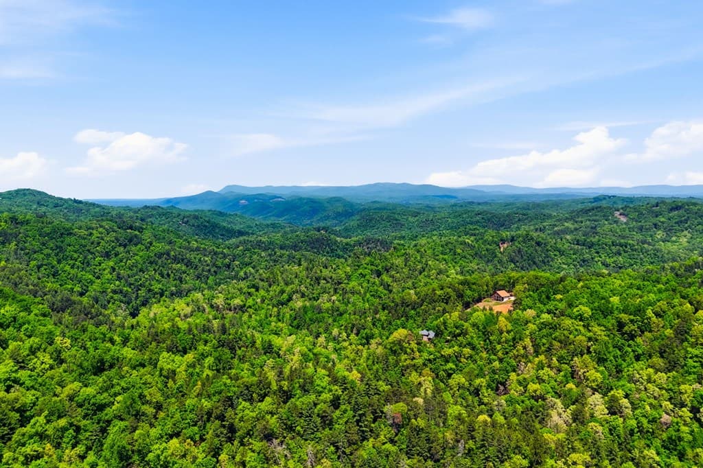 1600 Dover Drive, Ranger GA 30734 - Photo