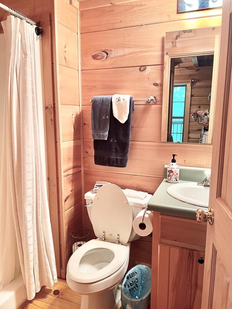 345 Acadia Drive, Ellijay GA 30540 - Photo