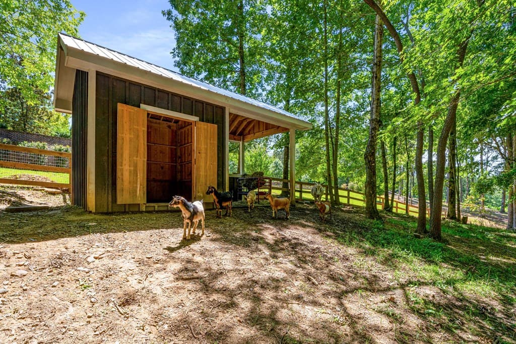 254 Nicholson Road, Blue Ridge GA 30513 - Photo