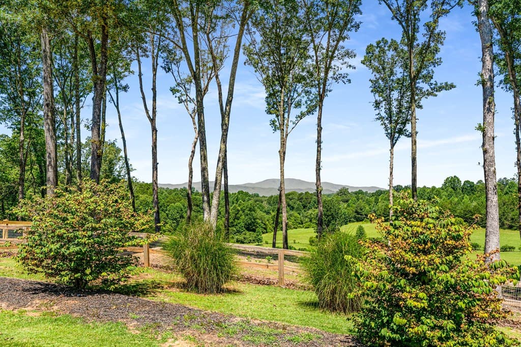 254 Nicholson Road, Blue Ridge GA 30513 - Photo
