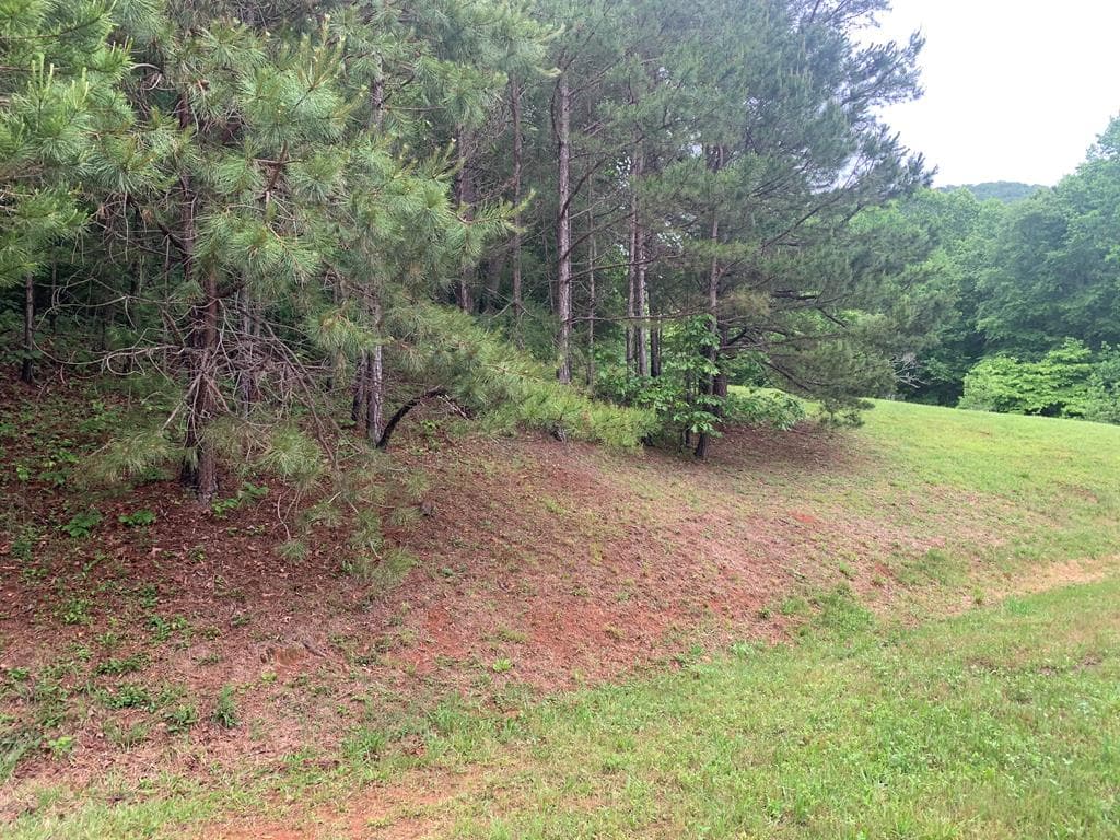 805 Bethabara Road, Hayesville NC 28904 - Photo