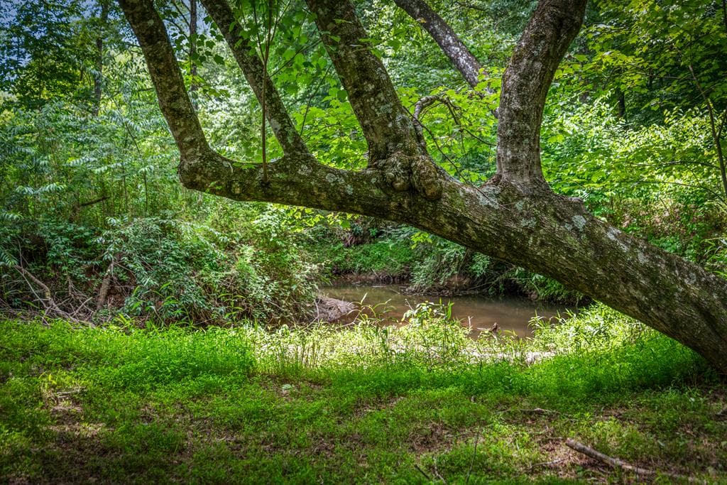 421 Twin Creeks, Blue Ridge GA 30513 - Photo