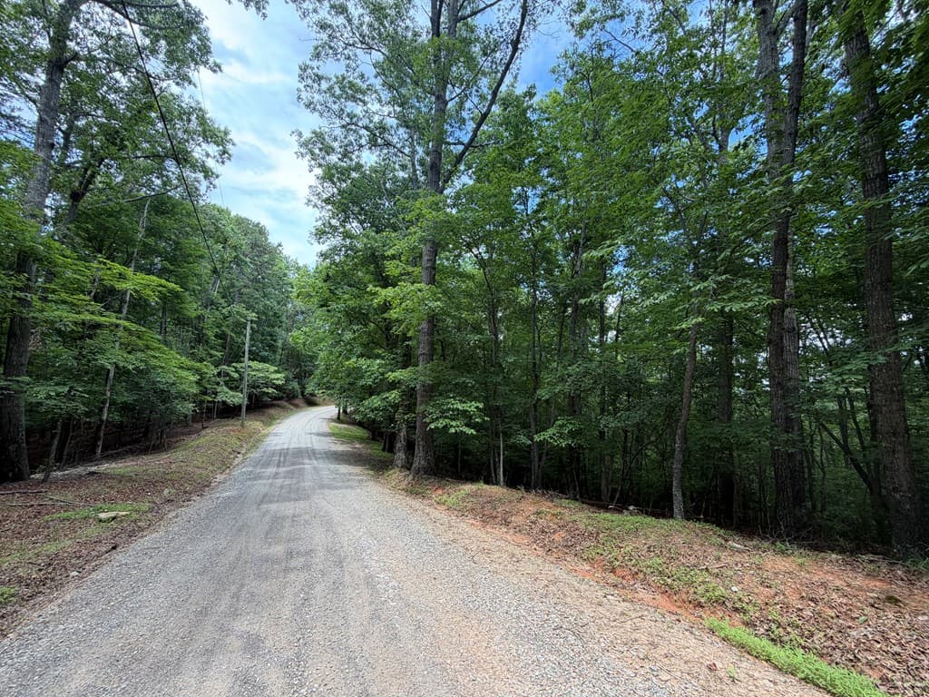 Lot 1049 Gateway Drive, Ellijay GA 30540 - Photo