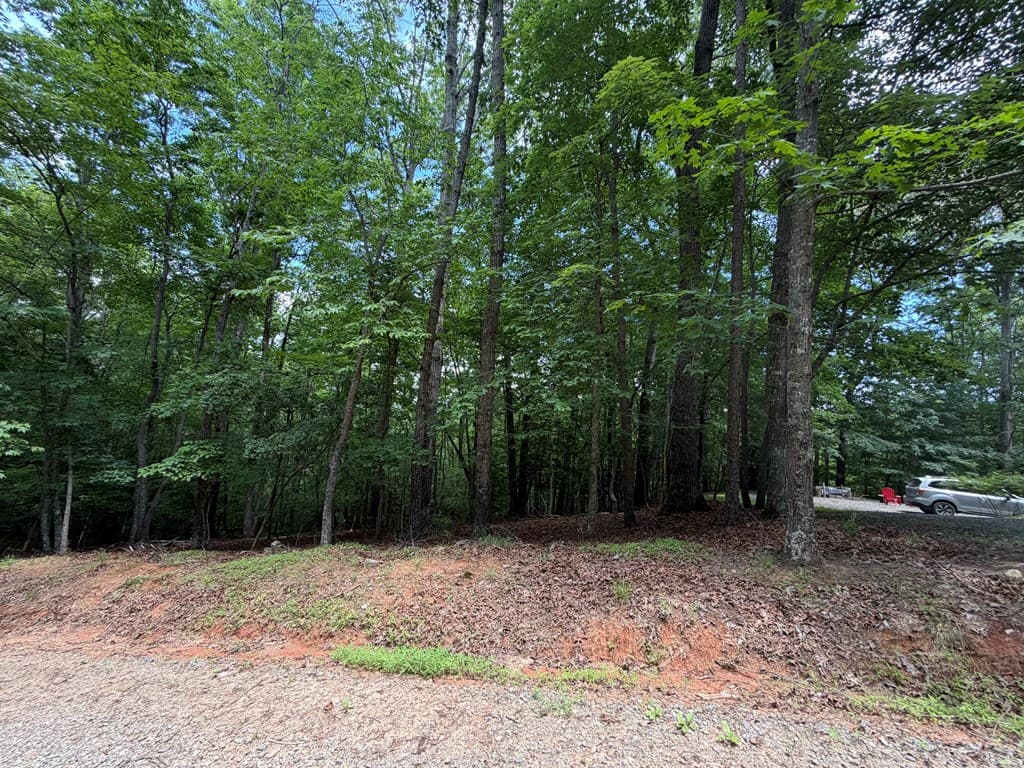 Lot 1049 Gateway Drive, Ellijay GA 30540 - Photo