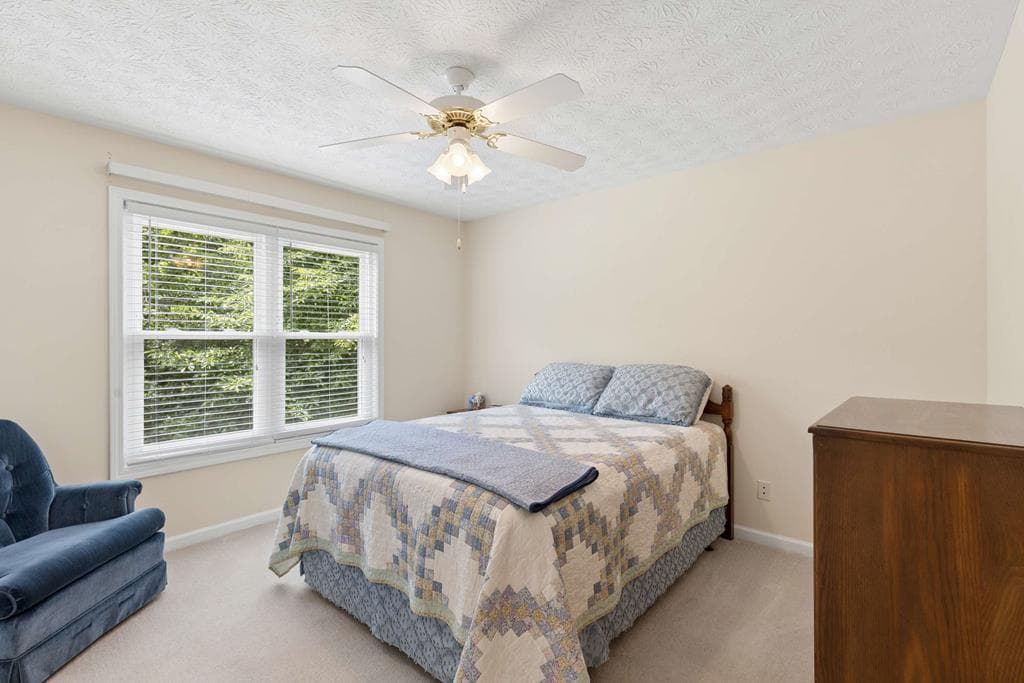 121 Chestnut Hill Drive, Canton GA 30114 - Photo