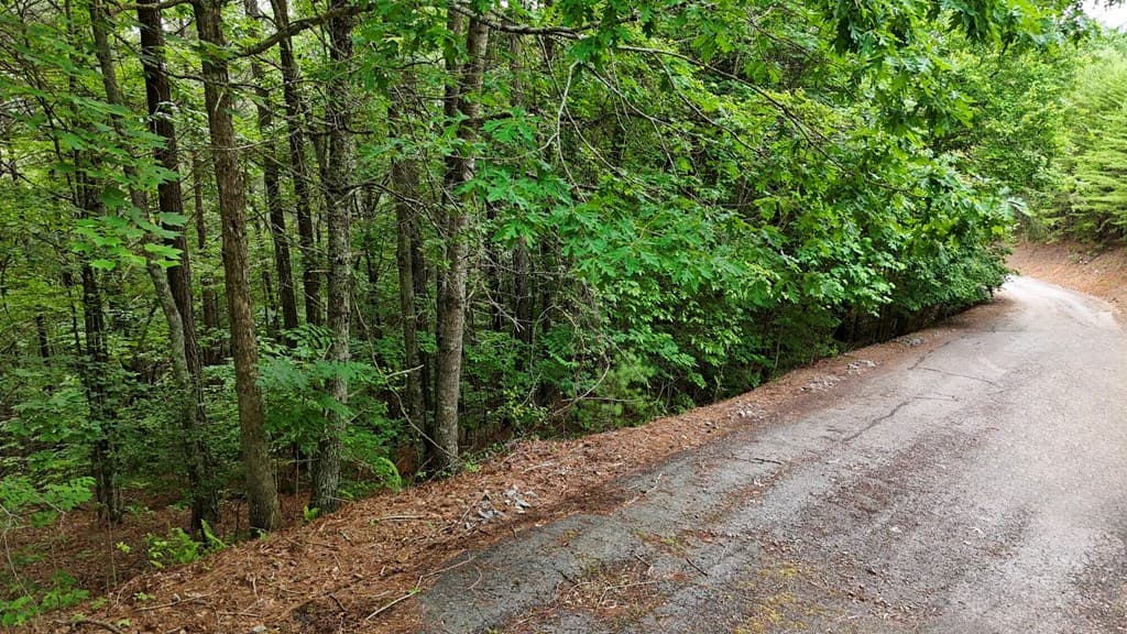 00 Choctaw Ridge Trail, Murphy NC 28906 - Photo
