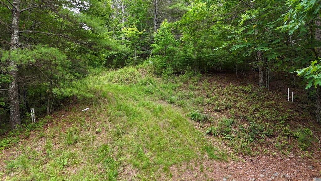 00 Choctaw Ridge Trail, Murphy NC 28906 - Photo