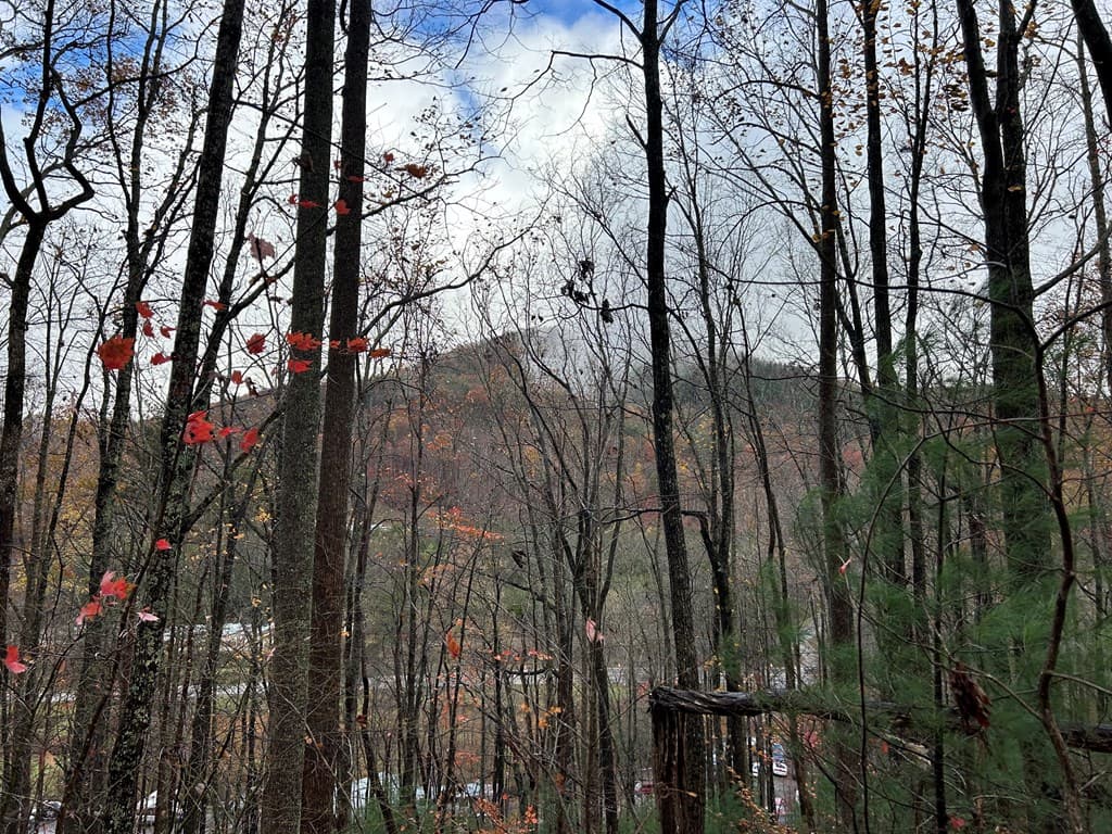 Lt12&13 Butternut Grove Road, Blairsville GA 30512 - Photo