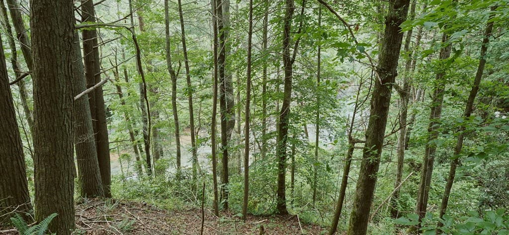 Lot 4 Roaring Forks Lane, Ellijay GA 30540 - Photo