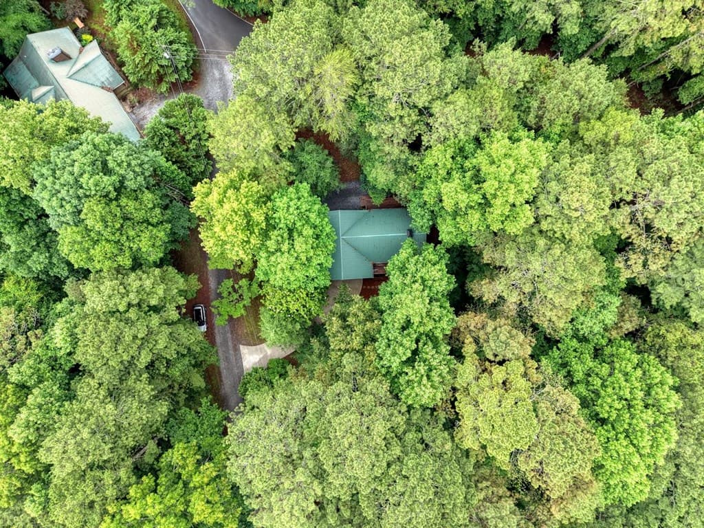 9 Mystic Court, Ellijay GA 30540 - Photo