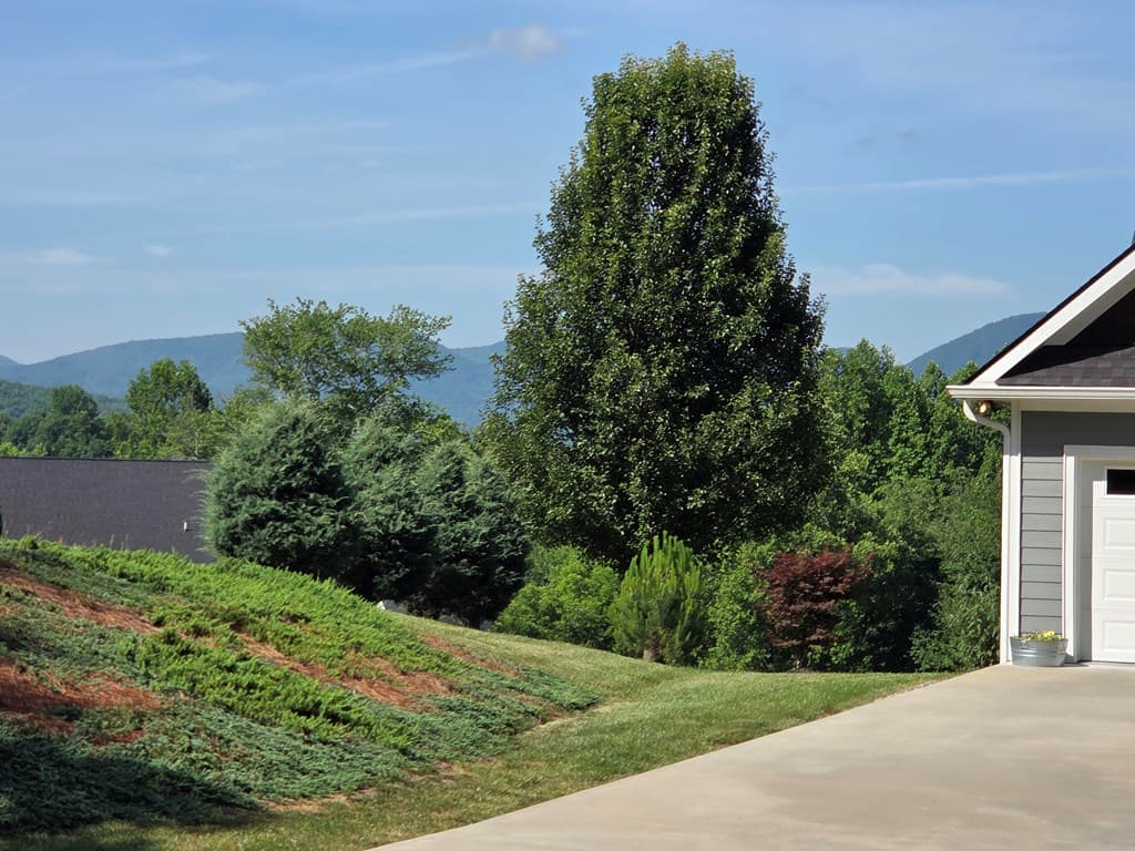 958 New Forest Road, Young Harris GA 30582 - Photo