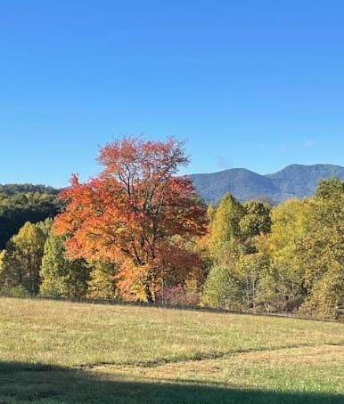 958 New Forest Road, Young Harris GA 30582 - Photo