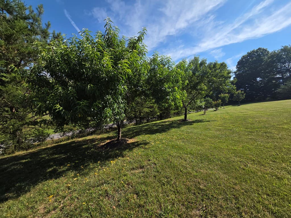 958 New Forest Road, Young Harris GA 30582 - Photo