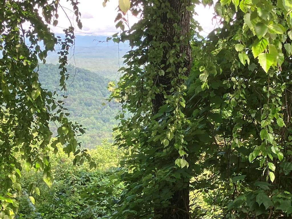 Lot 51 Buck Ridge Drive, Murphy NC 28906 - Primary photo
