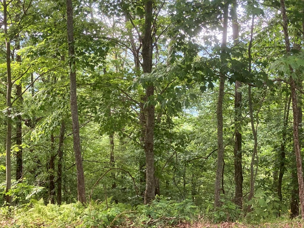 Lot 51 Buck Ridge Drive, Murphy NC 28906 - Photo