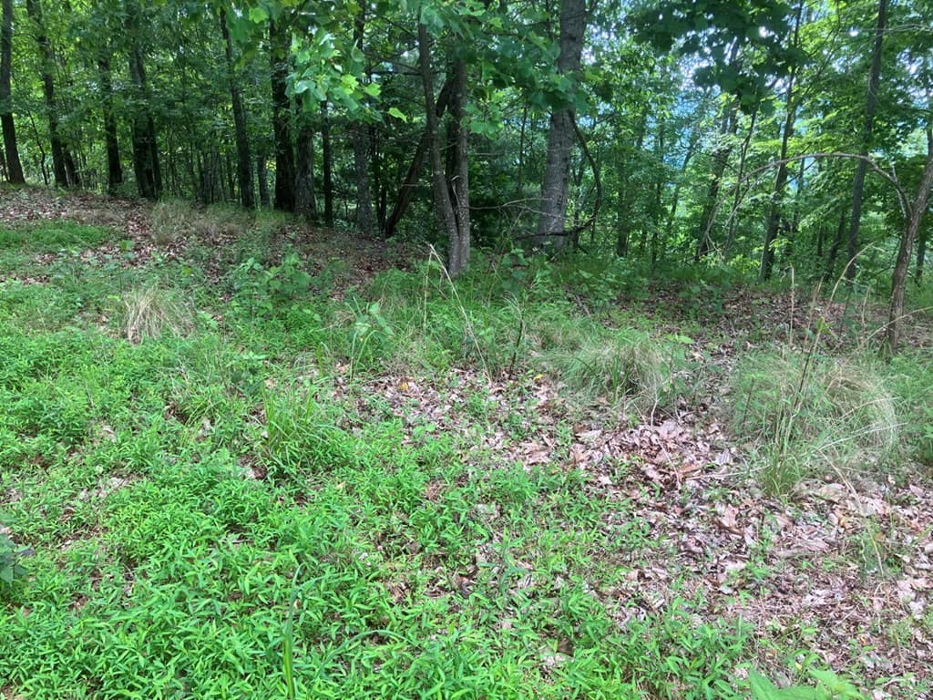 Lot 51 Buck Ridge Drive, Murphy NC 28906 - Photo