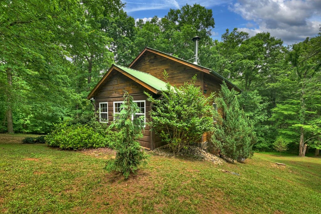 665 Shady Lane, Mineral Bluff GA 30559 - Photo