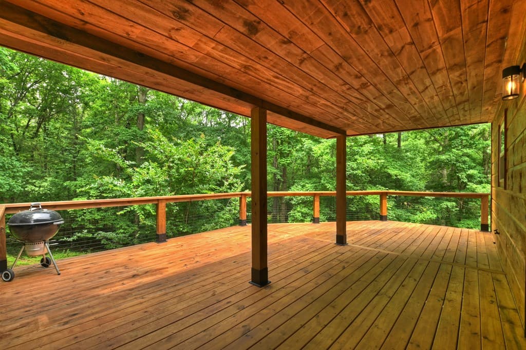 665 Shady Lane, Mineral Bluff GA 30559 - Photo
