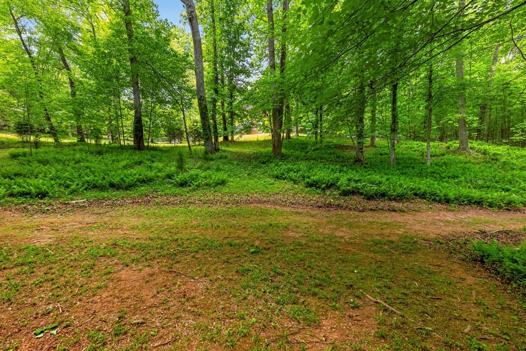 665 Shady Lane, Mineral Bluff GA 30559 - Photo