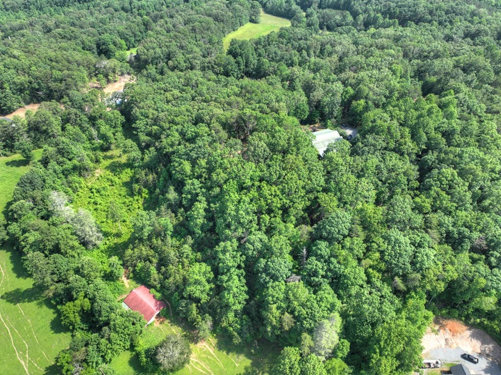 00 Sugar Creek Road, Blue Ridge GA 30513 - Photo
