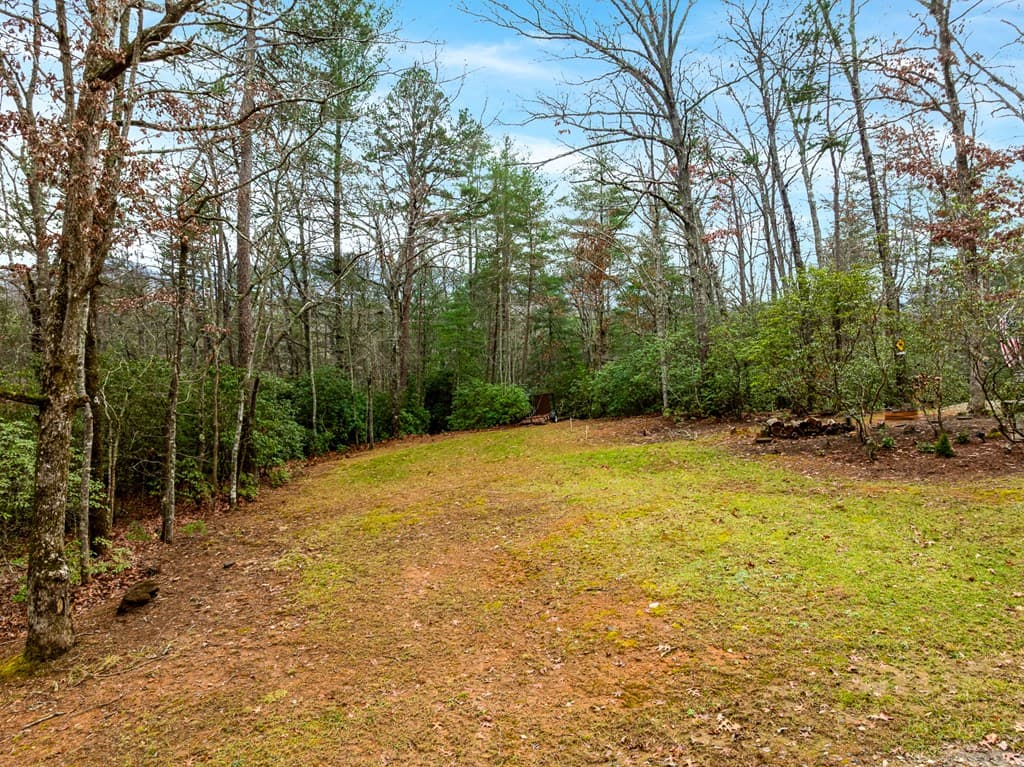 39 Sadie Way, Blairsville GA 30512 - Photo