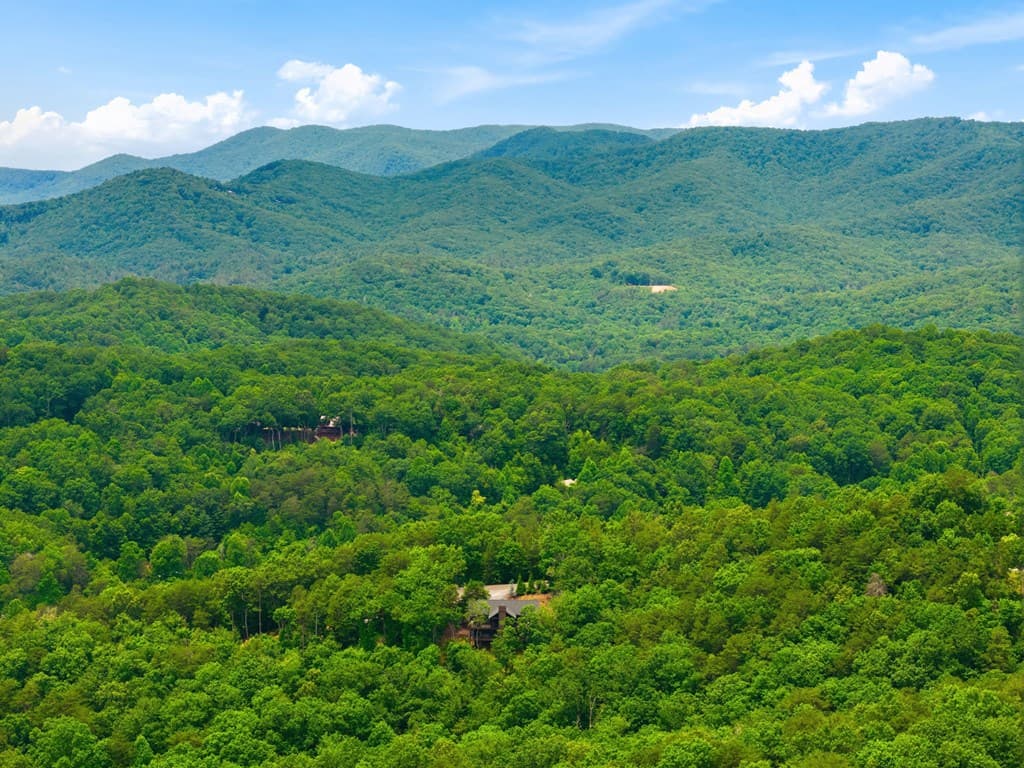 254 Leatherwood Mountain Road, Ellijay GA 30540 - Photo