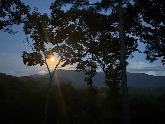 254 Leatherwood Mountain Road, Ellijay GA 30540 - Photo