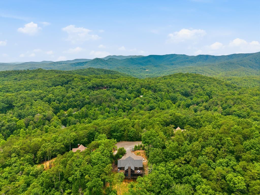 254 Leatherwood Mountain Road, Ellijay GA 30540 - Photo
