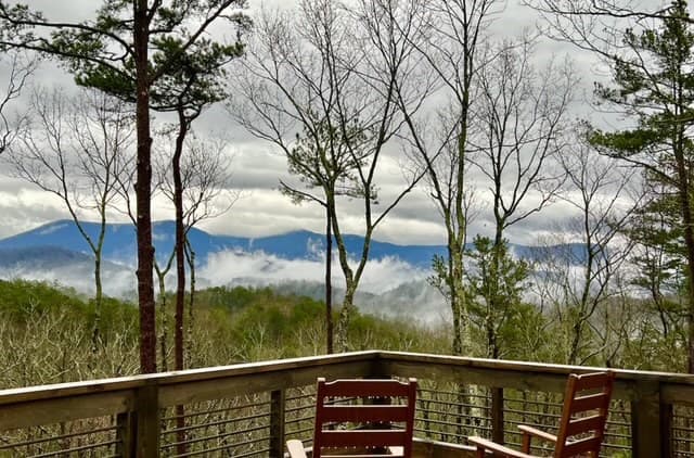 254 Leatherwood Mountain Road, Ellijay GA 30540 - Photo