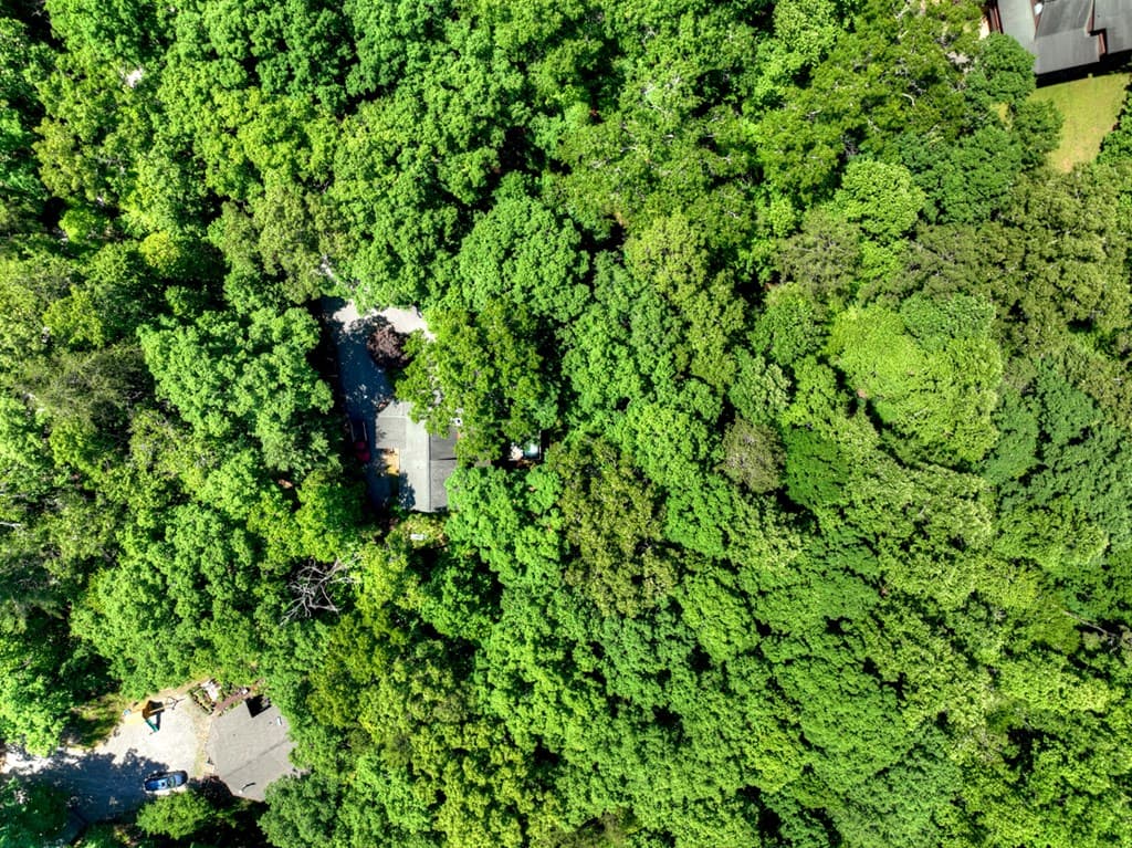 979 Cherokee Lane, Mccaysville GA 30555 - Photo