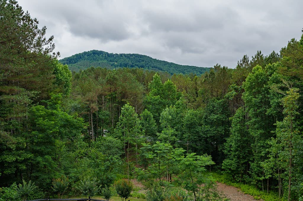 55 Ridge Top Drive, Ellijay GA 30536 - Photo