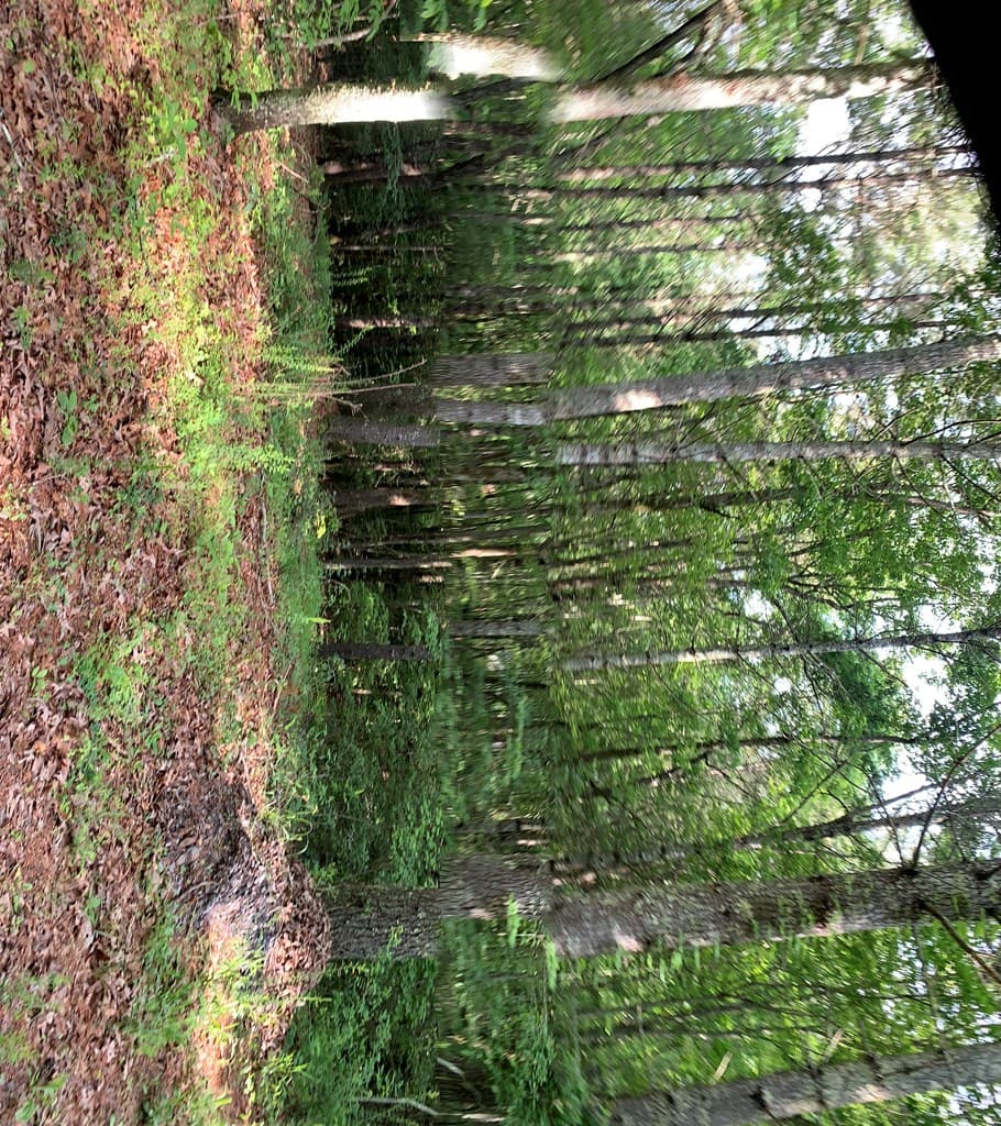 Lot 57 Rainy Farm Road, Murphy NC 28906 - Photo