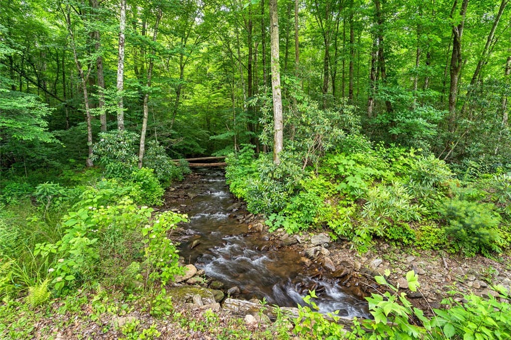1449 Muskrat Creek Road, Hayesville NC 28904 - Photo