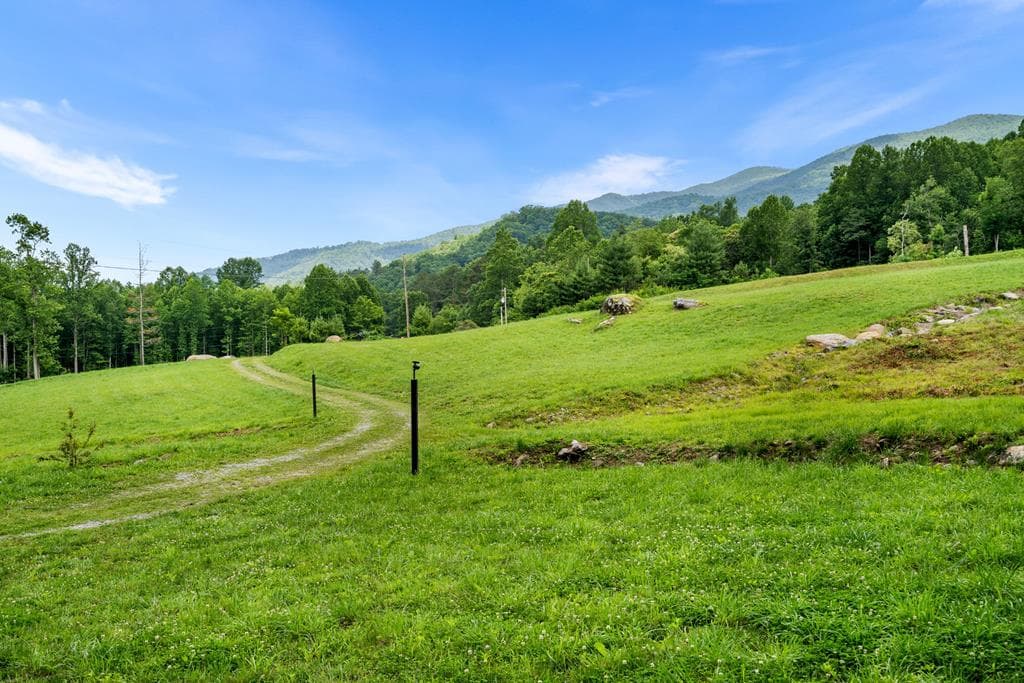 1449 Muskrat Creek Road, Hayesville NC 28904 - Photo