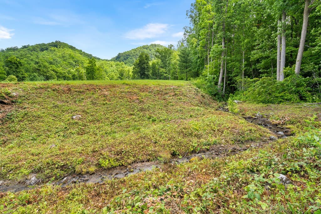 1449 Muskrat Creek Road, Hayesville NC 28904 - Photo