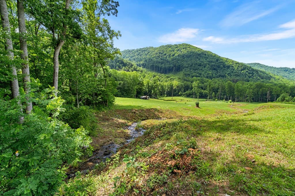 1449 Muskrat Creek Road, Hayesville NC 28904 - Photo