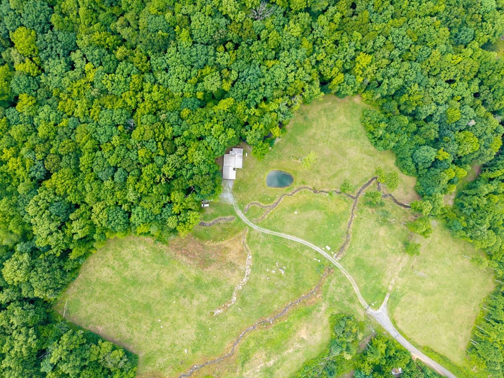 1449 Muskrat Creek Road, Hayesville NC 28904 - Photo