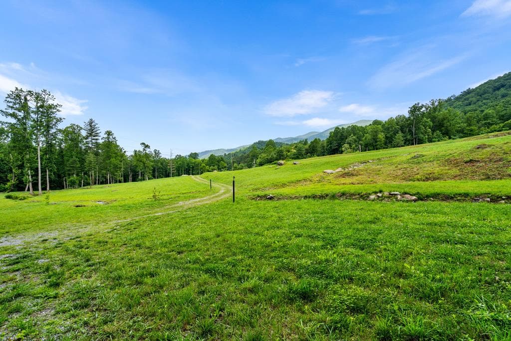 1449 Muskrat Creek Road, Hayesville NC 28904 - Photo