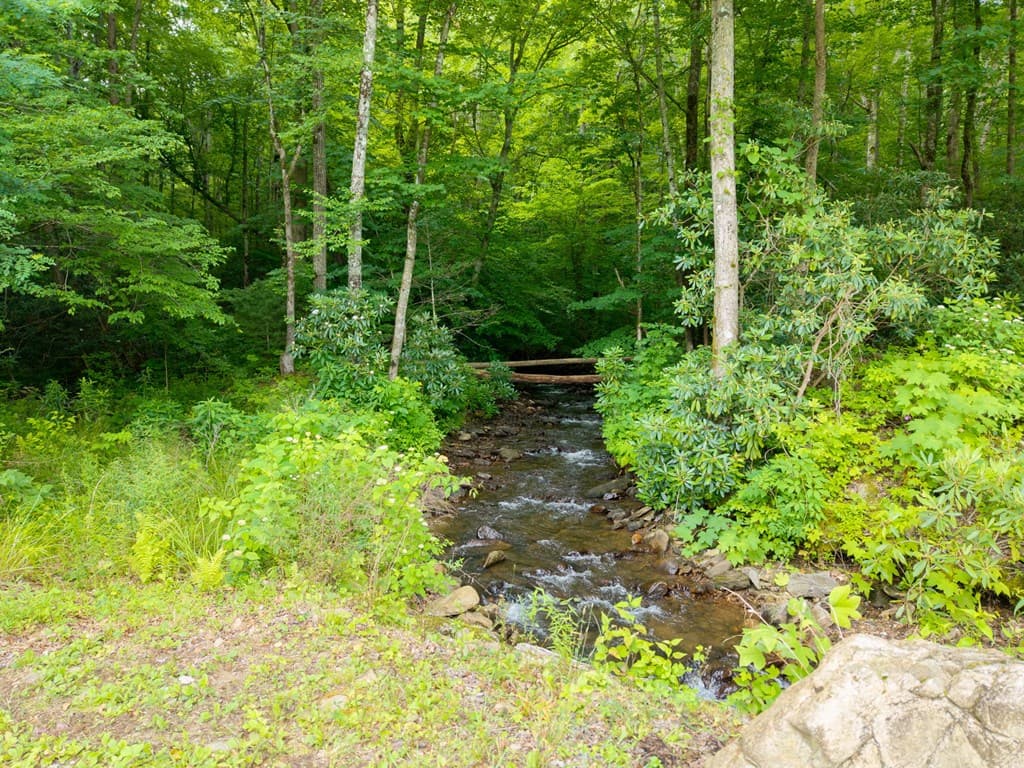 1449 Muskrat Creek Road, Hayesville NC 28904 - Photo