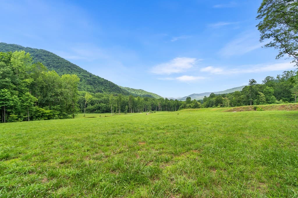 1449 Muskrat Creek Road, Hayesville NC 28904 - Photo