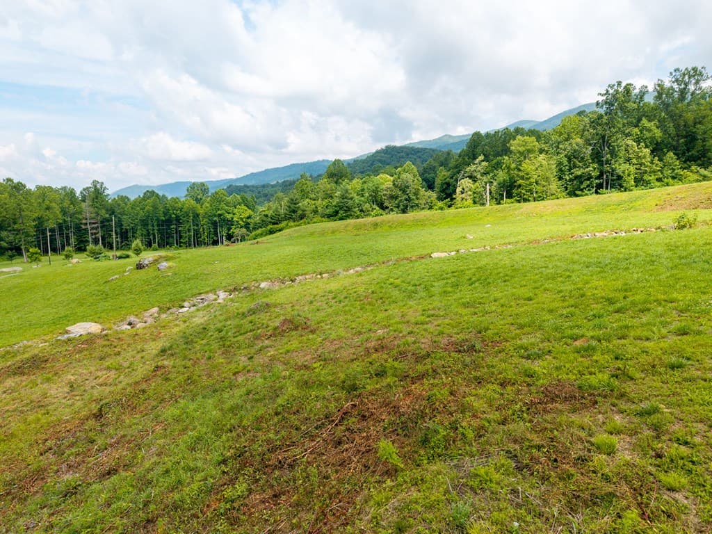 1449 Muskrat Creek Road, Hayesville NC 28904 - Photo