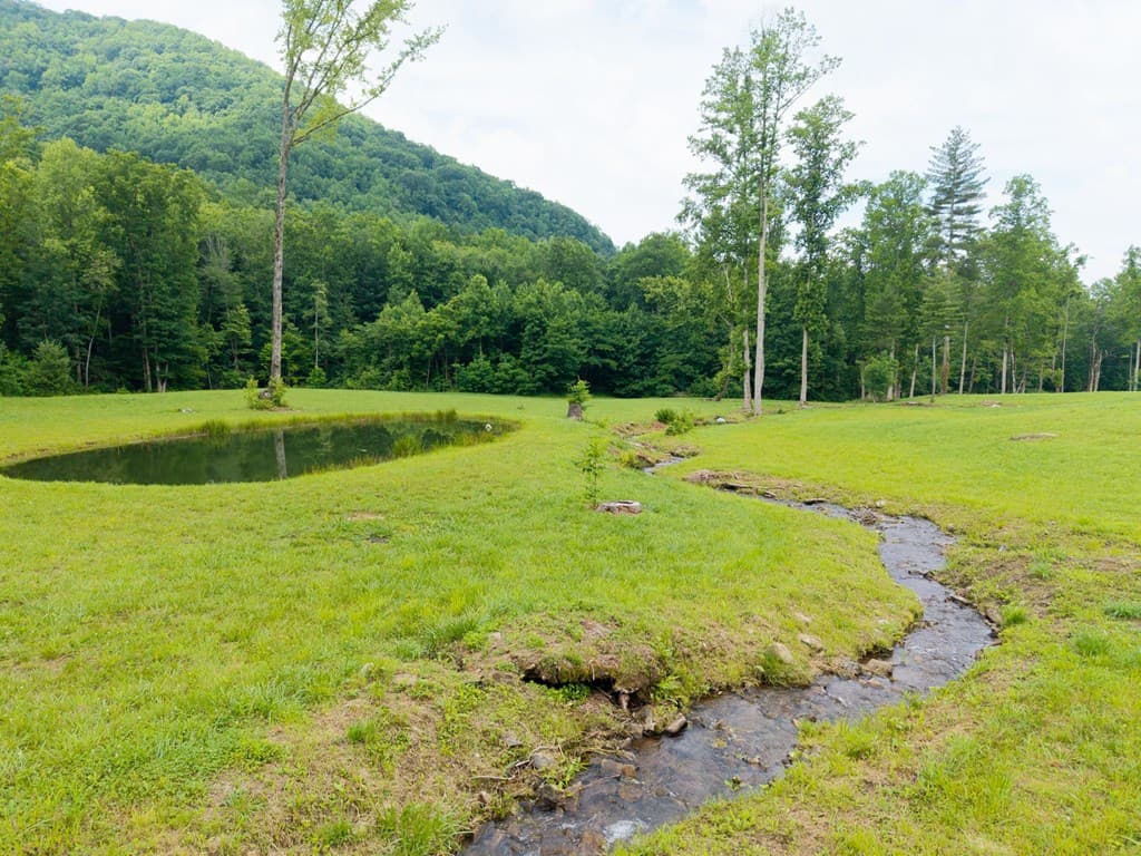 1449 Muskrat Creek Road, Hayesville NC 28904 - Photo