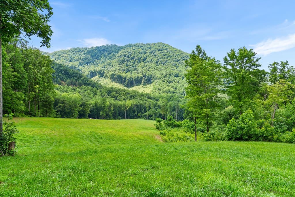 1449 Muskrat Creek Road, Hayesville NC 28904 - Photo