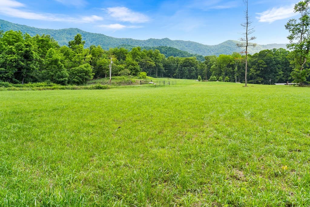 1449 Muskrat Creek Road, Hayesville NC 28904 - Photo