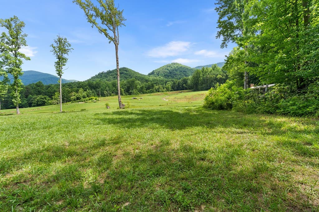 1449 Muskrat Creek Road, Hayesville NC 28904 - Photo