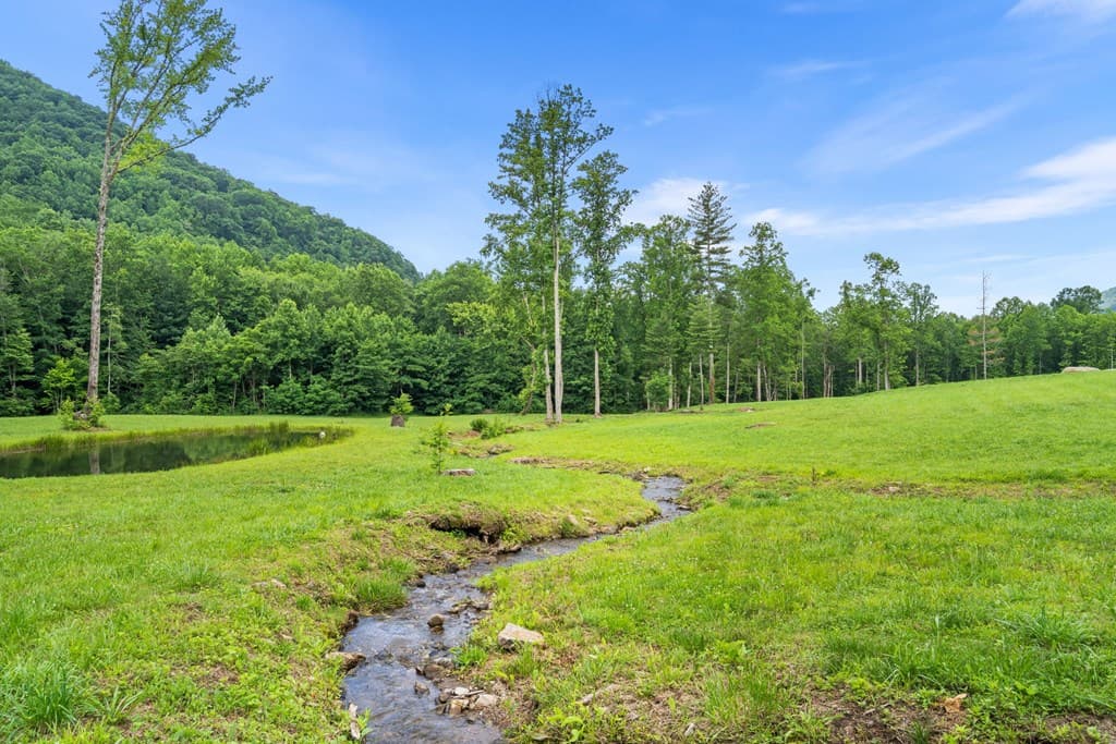 1449 Muskrat Creek Road, Hayesville NC 28904 - Photo