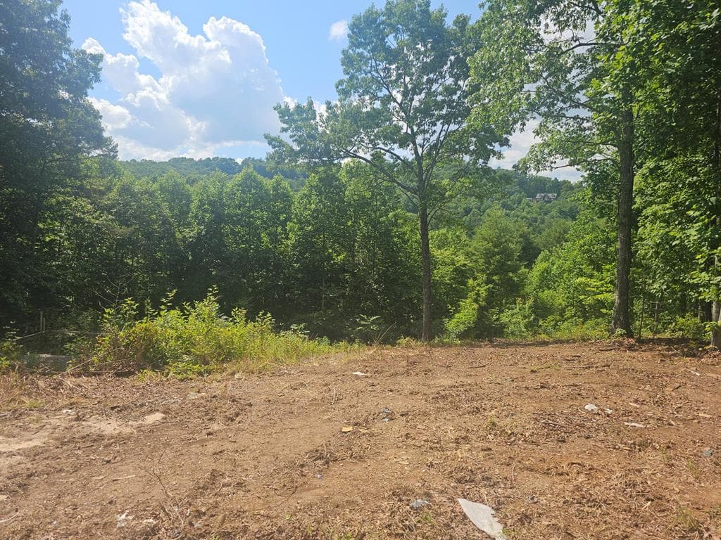 Lot 45 Meadowlark Terrace, Murphy NC 28906 - Primary photo