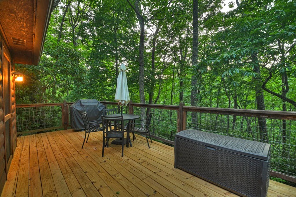932 Granny Branch Drive, Blue Ridge GA 30513 - Photo