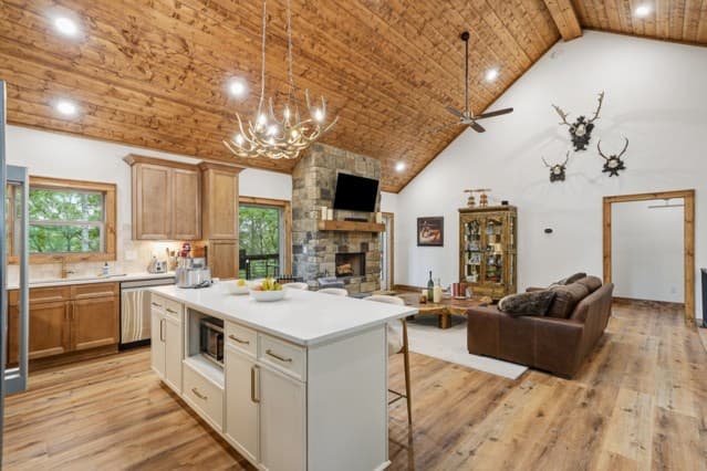 314 Lakeview Lane, Ellijay GA 30536 - Photo