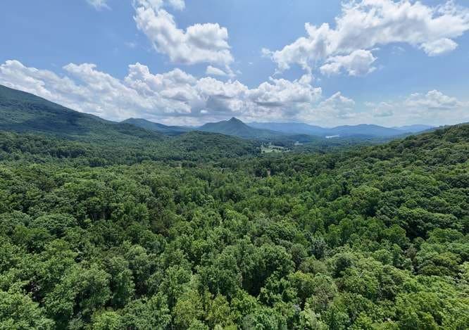 3333 Ellington Road, Hayesville NC 28904 - Photo